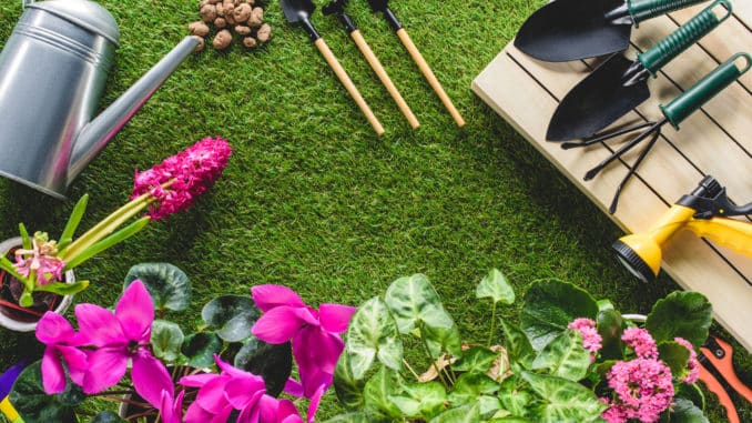 Die 10 wichtigsten Gartengeräte