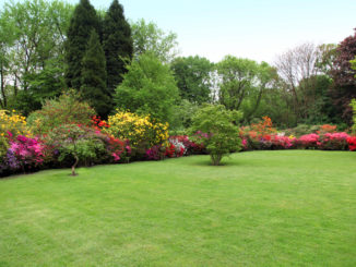 Ein Garten mit schönen und bunten Pflanzen macht das eigene Heim erst richtig schon. Bild via depositphotos.com